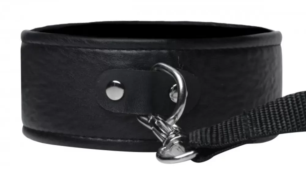 Best Healthy & Active Frisky Beginner Collar and Leash