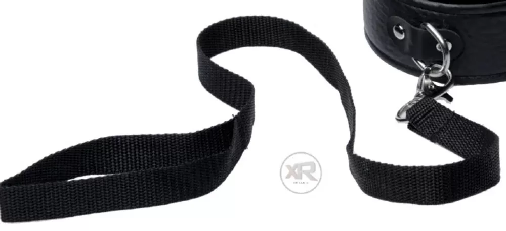 Best Healthy & Active Frisky Beginner Collar and Leash