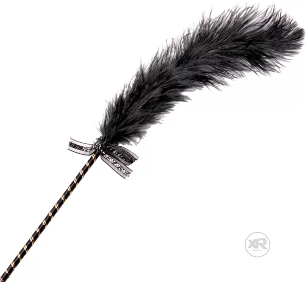 Cheap Healthy & Active Frisky Feather Tickler