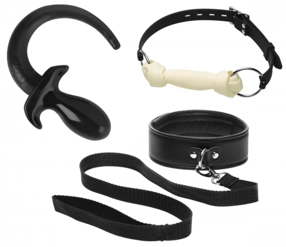 New Healthy & Active Intro to Puppy Play Kit