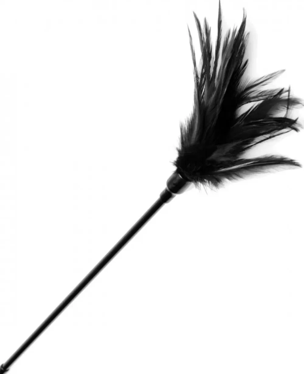 Cheap Healthy & Active Le Plume Feather Tickler - Black