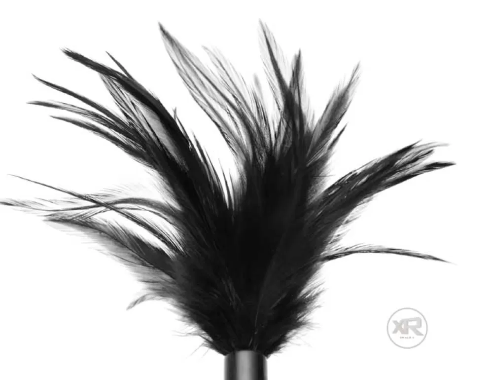 Cheap Healthy & Active Le Plume Feather Tickler - Black