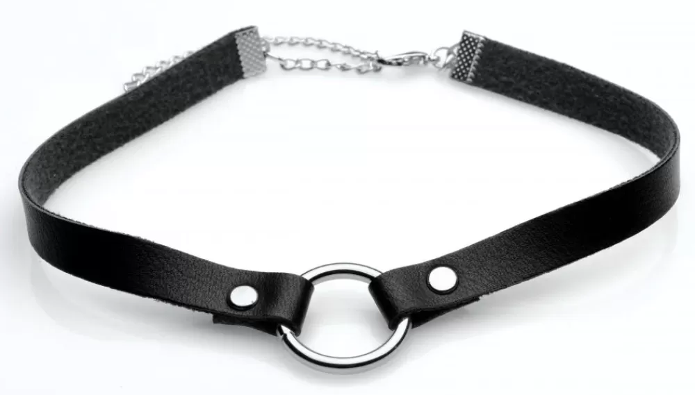 Flash Sale Healthy & Active Lush Pet Silver Ring Slim Choker