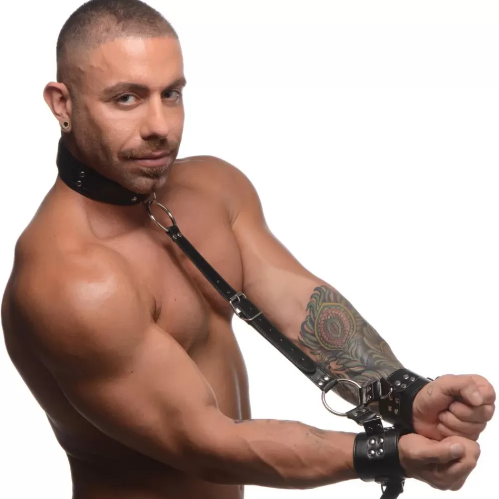 Shop Healthy & Active Neck to Wrist Restraints