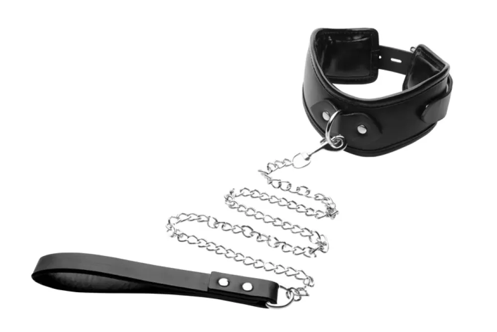 Store Healthy & Active Padded Locking Posture Collar with Leash