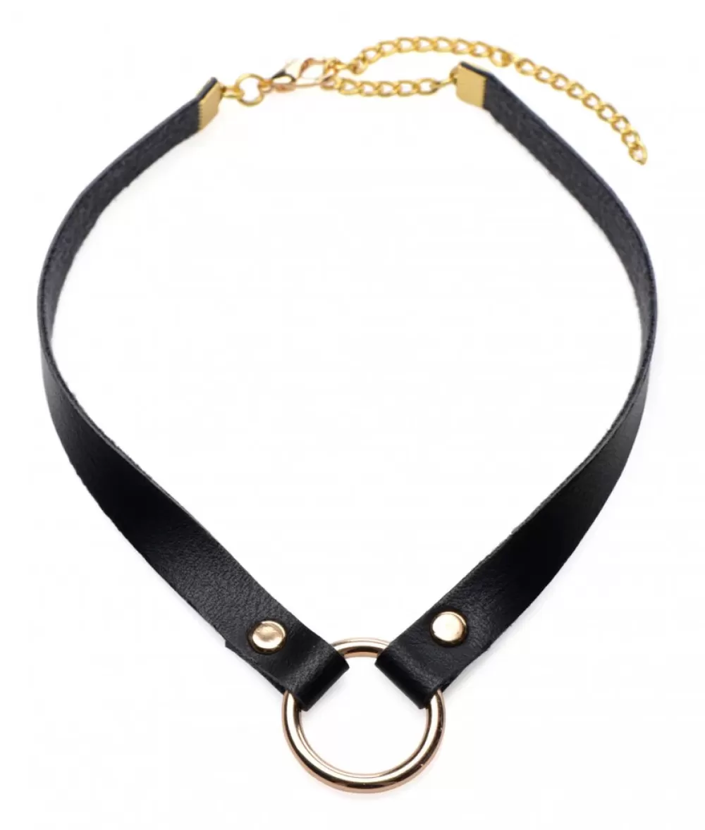 Online Healthy & Active Posh Pet Gold Ring Slim Choker