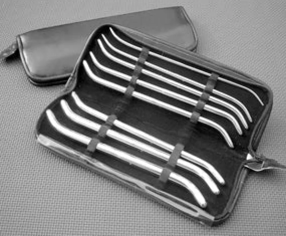 Online Healthy & Active Pratt Urethral 11 Inch Sounds
