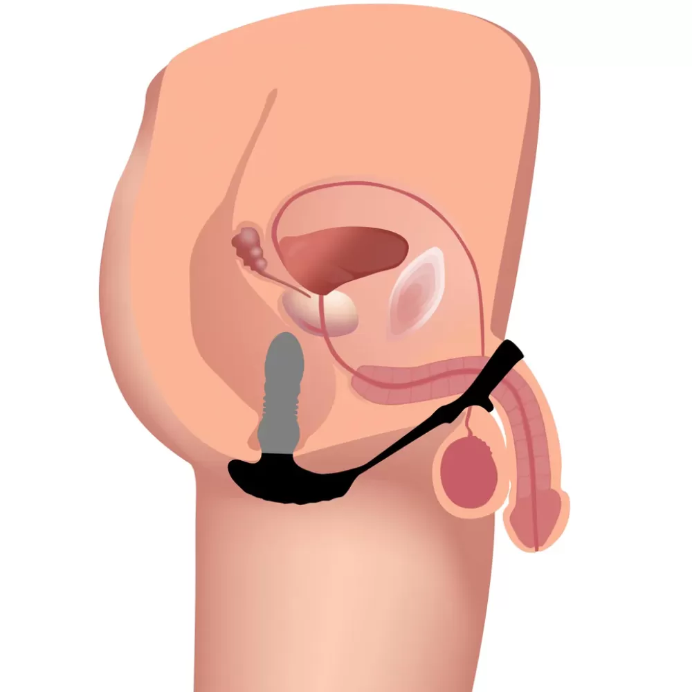 New Healthy & Active Remote Thrusting Vibrator with C&B Ring