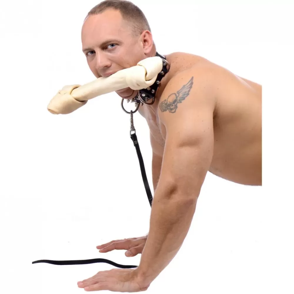 New Healthy & Active Spiked Collar and Leash Set
