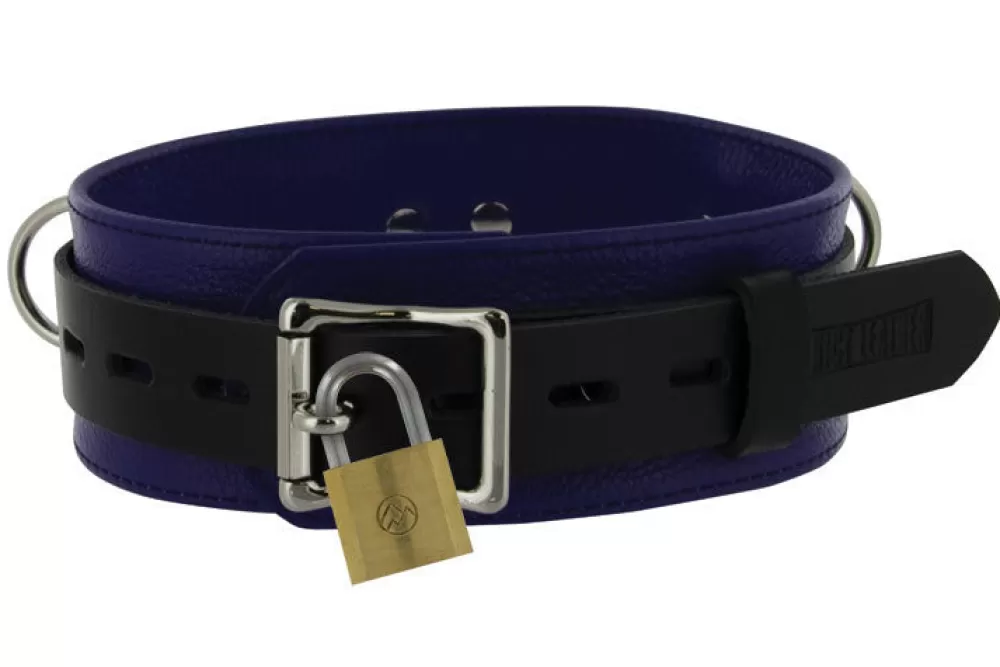 Hot Healthy & Active Strict Leather Black/Blue Locking Collar