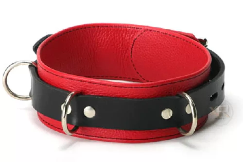 Sale Healthy & Active Strict Leather Red and Black Locking Collar