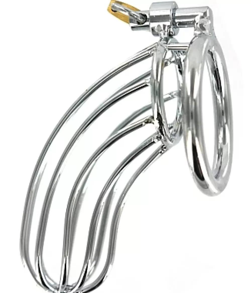 Flash Sale Healthy & Active The Bird Cage Chastity Device
